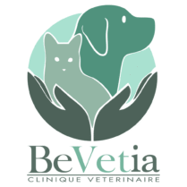 Logo Bevetia fond blanc